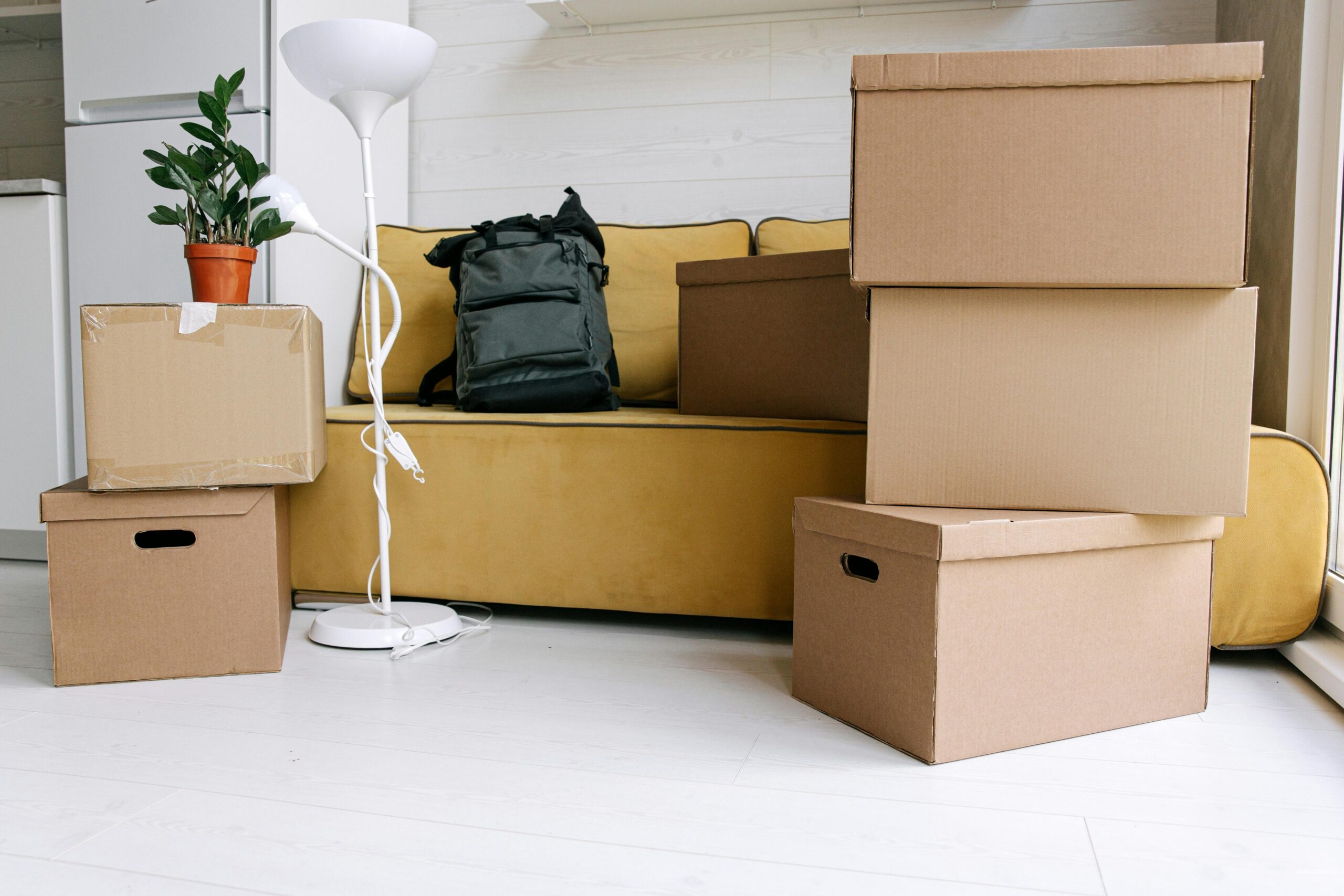 Move In - Move Out